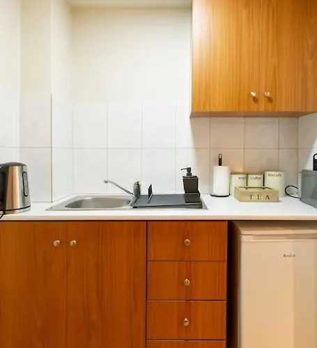 Spacious Located In The Pedestrian Zone * 尼科西亚